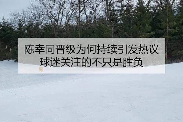 陈幸同晋级为何持续引发热议 球迷关注的不只是胜负