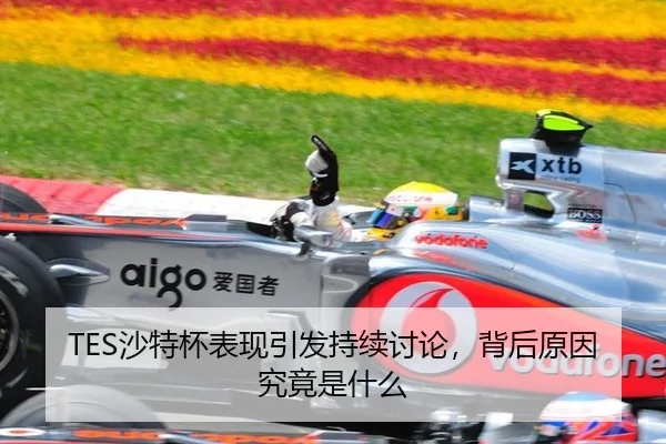 TES沙特杯表现引发持续讨论，背后原因究竟是什么